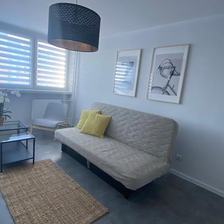 Apartament Os. Jasne 19B Dzierżoniów 외부 사진